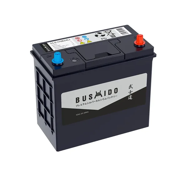 Аккумулятор BUSHIDO 55Ah euro CCA470 70B24L