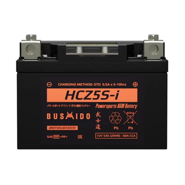 Аккумулятор BUSHIDO 12V 5Ah euro HCZ5S