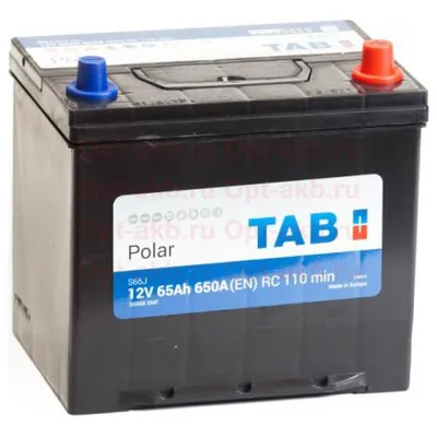 Аккумулятор TAB Polar 65 Ач 650 А (EN), обратная полярность, D23