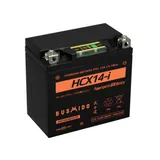 Аккумулятор BUSHIDO YTZ14L-BS 15.5 Ач 210 А, прямая полярность, YTX14L