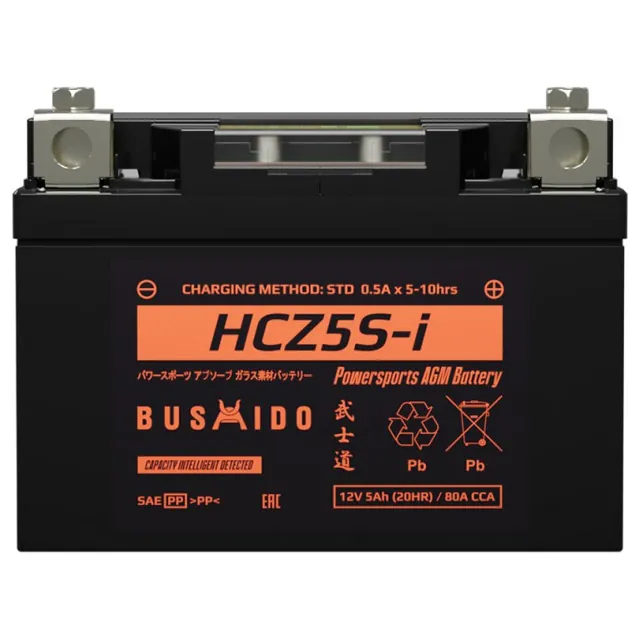 Аккумулятор BUSHIDO 5 Ач 80 А, обратная полярность, YTZ5S